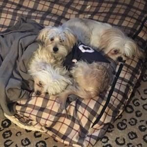 Meet your Posher, Debbie